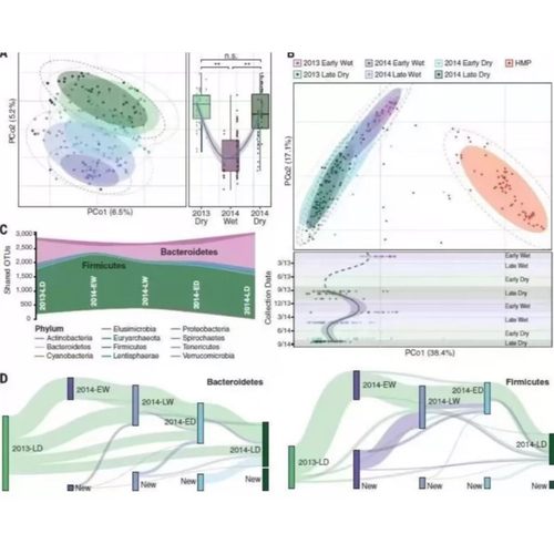 分子对接/Alphafold预测蛋白结构 蛋白蛋白对接/蛋白多肽/