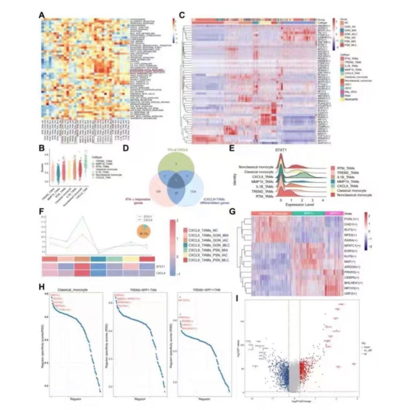 NHANES代码单细胞测序GBD数据分析TCGA指导生物转录组GEO生信分析