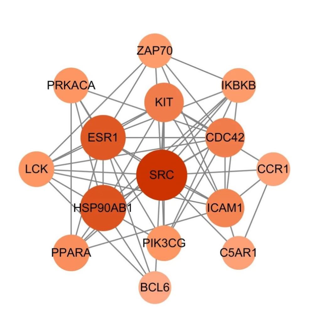 网路药理学+分子对接覆方网路图富集疾病基因cytoscapeTCMSPPPI