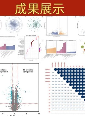 NCBI blast多序列比对共线性分析比较基因组生信16s菌株鉴定