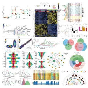 小分子与蛋白分子对接服务,精准评估药物结合位点与亲和力