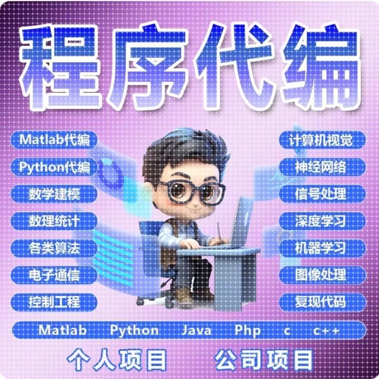 matlab代码帮做机器学习深度学习帮做神经网络服务仿真程序代编