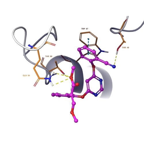 autodock vina 小分子蛋白对接 软件安装 对接教程
