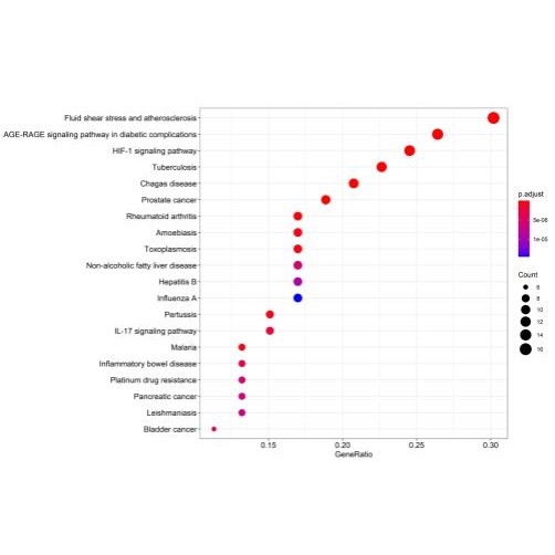 网络理学/网络毒理学/物靶点/物靶点/分子对接/GO/KEGG