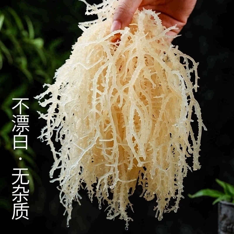 干龙须菜干货特淡干级新鲜海石花菜凉拌菜海草海藻菜鹿角菜海发菜