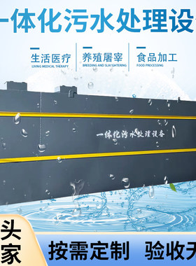 一体化污水处理设备碳钢地埋式工业废水装置农村生活污水一体机