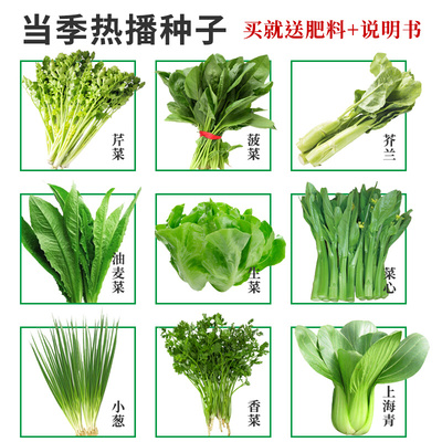 四季蔬菜种子生菜香白菜菜籽种菠菜葱种大全青菜种籽菜籽孑子萝卜