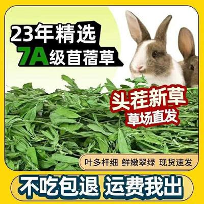 烘干草兔草荷紫花苜蓿兰猪龙猫粮兔粮草幼兔食用叶子兔子草木须草