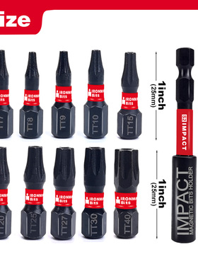 21-10PCS透明底座梅花批头套装 黑色S2材质抗冲击2550mm热销