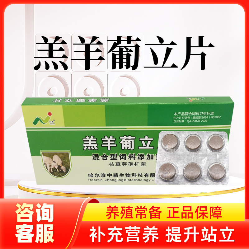 中精羔羊葡立片一盒六片羔羊瘫软站不起来无力卧地不吃奶醉酒样