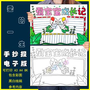 蚕宝宝成长记手抄报模板电子版小学生写蚕的一生手抄报8KA3A4线稿