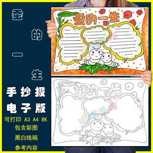 蚕的一生手抄报模板小学生蚕的生长变化过程动物观察A3A48K手抄报