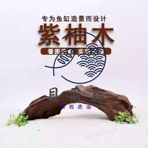 天然杜鹃根栖根紫柚木沉木鱼缸水草缸树枝树根造景沉木一木成景