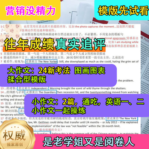 专业研发模版11年 高分定制 考场直接套用