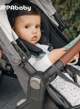 UPPAbaby Vista/Cruz 婴儿推车专用前扶手