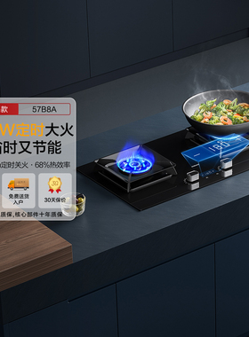 [新品]老板57B8A定时燃气灶家用煤气灶双灶炉液化天然气官方旗舰