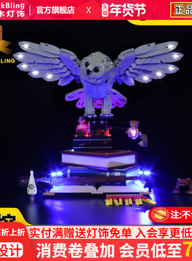 Brick Bling适用乐高76391海德薇猫头鹰积木灯饰哈利波特系列灯光