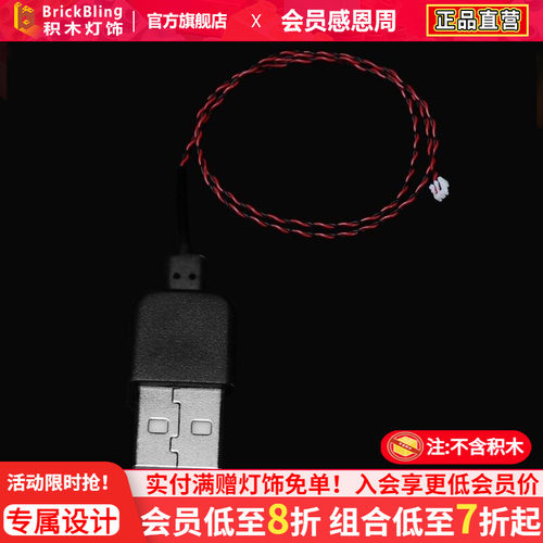 BrickBlingUSB供电接口适用