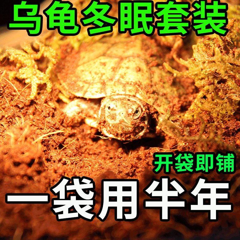 乌龟冬眠专用椰土寄居蟹养龟过冬