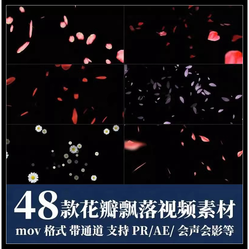 pr/ae视频素材花瓣飘落唯美花朵飞舞动态玫瑰花动画mov带透明通道