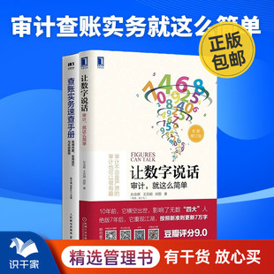 就这么简单 审计查账2本套：让数字说话：审计 实用技巧与实战案例 查账实务速查手册：高频问题 识干家企业管理C 新版