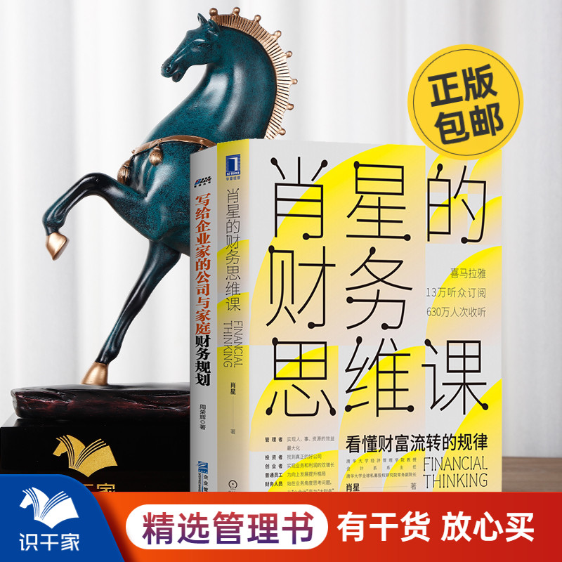 财务思维2本套装肖星公司