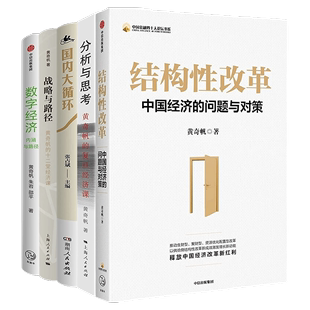 中国经济 4册 置身事内：中国政府与经济发展 3册 陆铭 温铁军 兰小欢 中国经济28本套：黄奇帆 变与不变 5册 在城望乡 国家兴衰