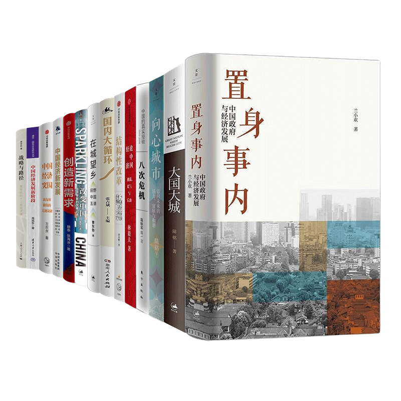 2025中国经济发展新展望14册：置身事内：中国政府与经济发展+大国大城+向心城市+八次危机+论中国经济+结构性改革+国内大循环全套