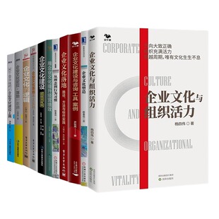 定位 理念 组织 逻辑 咨询 实践 企业文化大全集12本套：落地 绩效 工具箱 建设