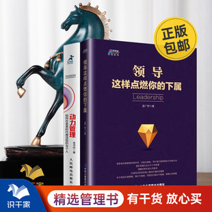 下属 领导这样点燃你 识干家企业管理C ：变革时代激活组织与个人 员工动力管理2本套装