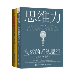 思维力2本套：思维力：高效的系统思维（第2版）+有意识的思考：轻松化解问题的7个思考习惯 识干家C