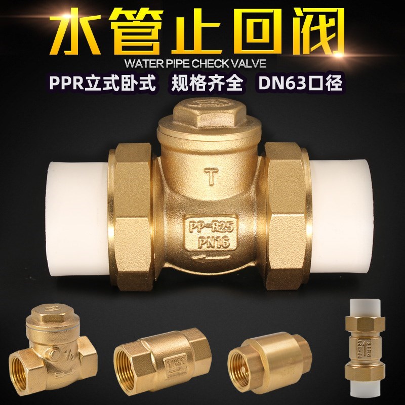 PPR水管止回阀4分6分1寸横式双活