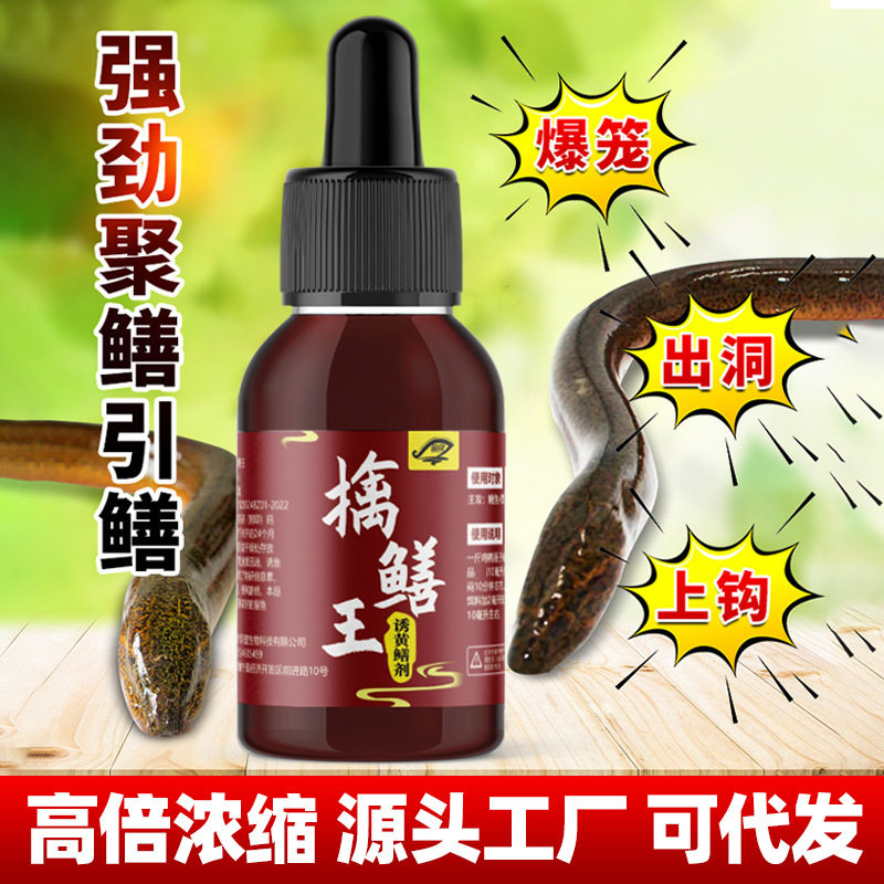 擒鳝王诱钓鳝鱼蝉鱼黄鳝