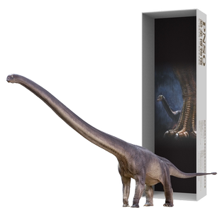 PNSO恐龙博物馆马门溪龙尔玛1:45科学艺术模型儿童益智精品手办