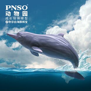 PNSO动物园成长陪伴模型17中华白海豚稀宝
