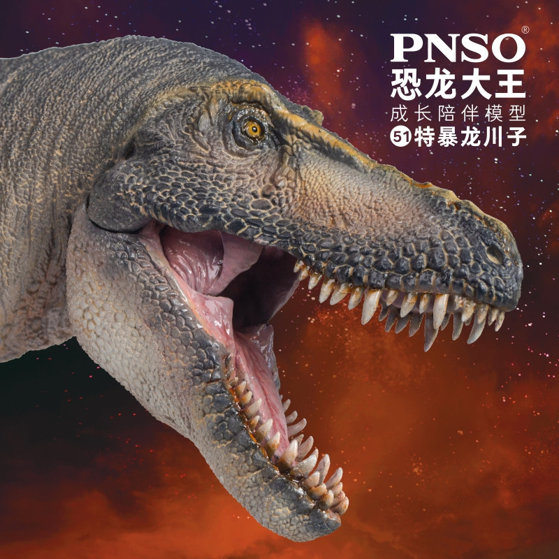 PNSO特暴龙川子恐龙模型益智手办