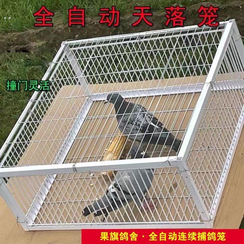 祇进不出鸟笼全自动天落笼子撞门户外抓收鸽子加密可连续用鸽笼