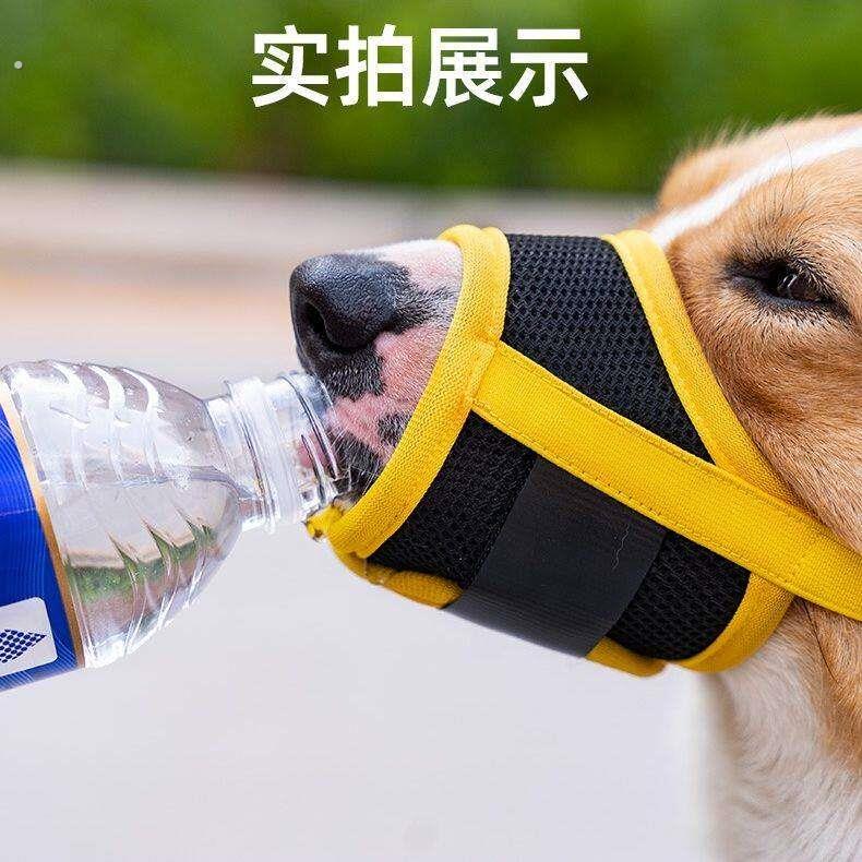 狗狗嘴套防咬防叫好物防舔乱啃口罩幼犬柯基泰迪护嘴套狗嘴护套