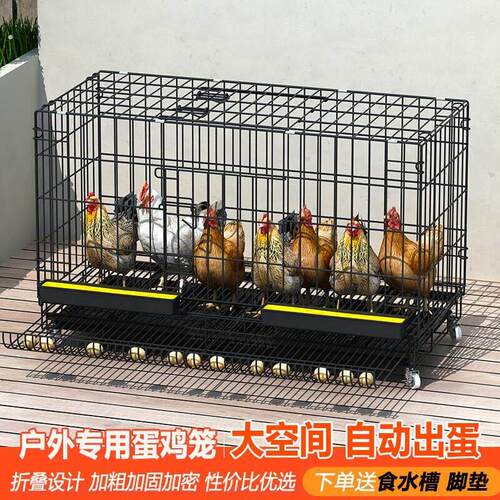 鸡笼子家用室外防雨家用养殖鸡笼运输笼大号鸡笼子母鸡笼管蛋鸡笼