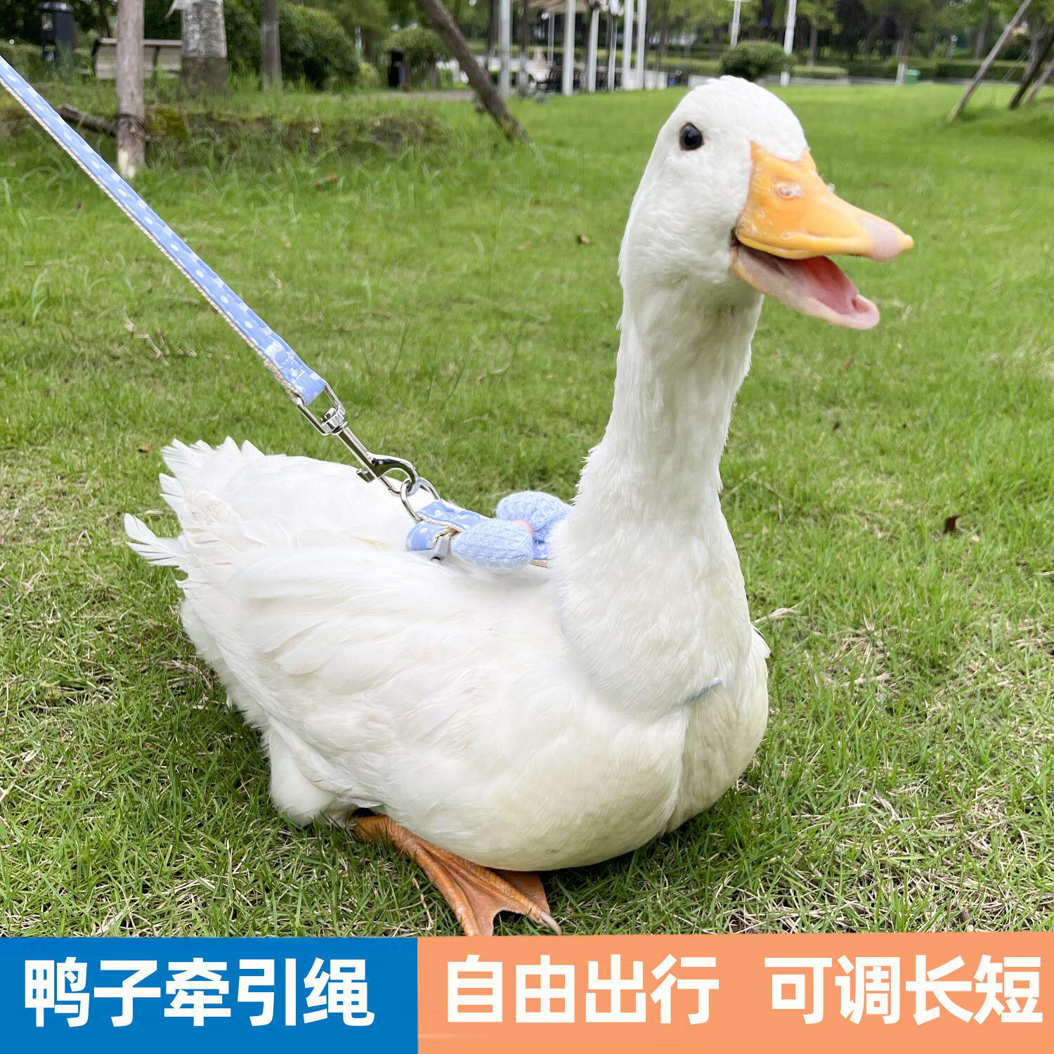 遛鸭子绳胸抱婴袋式牵引绳子小鸡宠物鹅用品网红柯尔鸭外出带专用