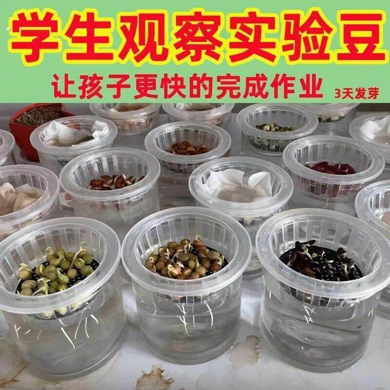 水培网格盘水培育苗盘育苗盒带盖子育秧苗盘豆芽发芽盆多层无土栽