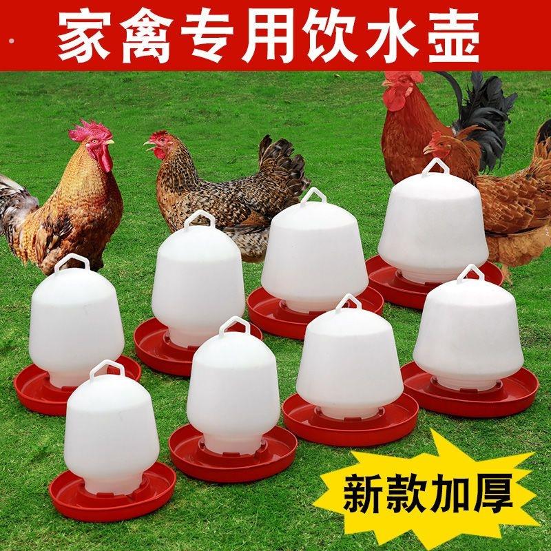 芦丁鸡喂食器饲料盒小鸡食盒水槽水壶喂水饮水喝水台用品自动专用