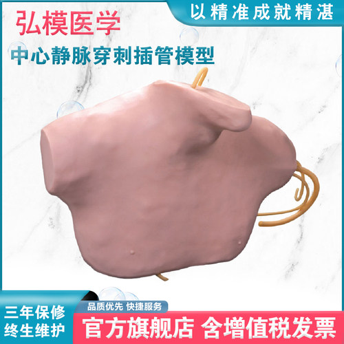 中心静脉穿刺插管模型注射训练