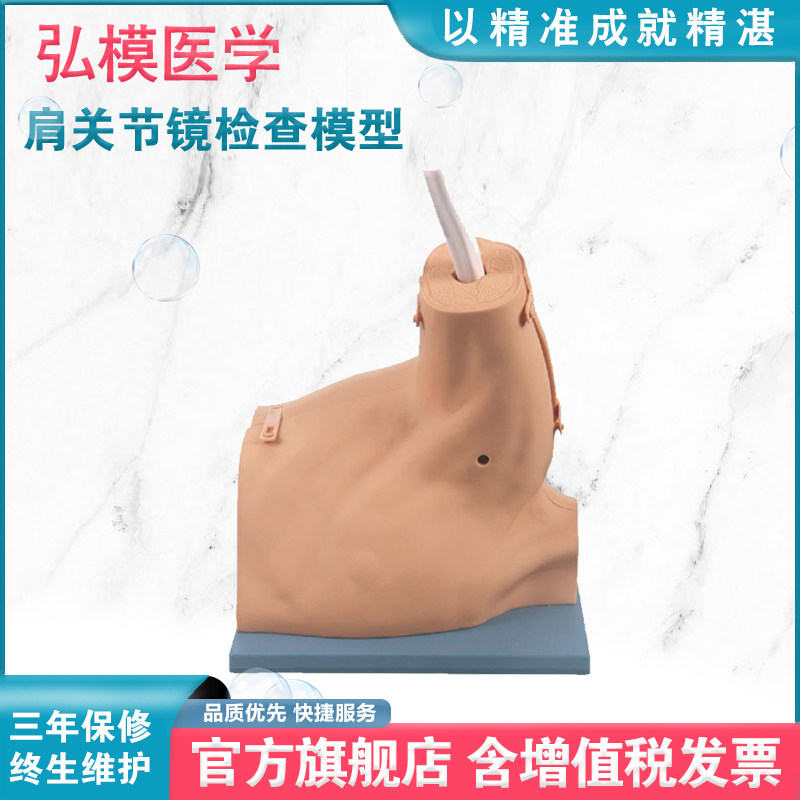弘模HOM/LV67肩关节镜检查模型 肩关节腔镜练习模型 肩关节模型