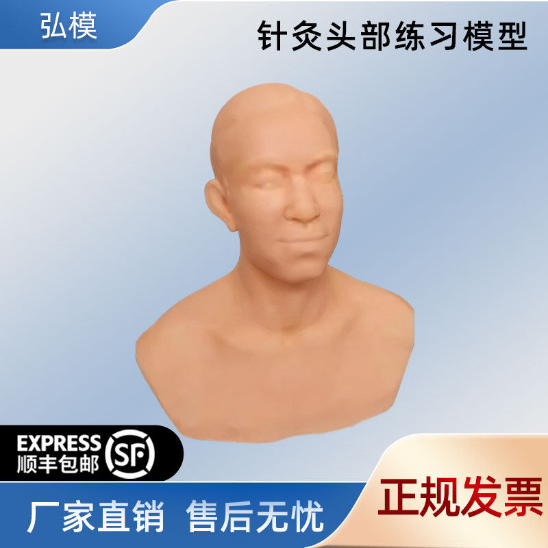 中医学针灸头部训练模型练习仿真皮肤针刺手法假人穴位模具,文具电教/文化用品/商务用品,模拟人,淘宝优惠券,粉丝福利购,淘宝优惠卷