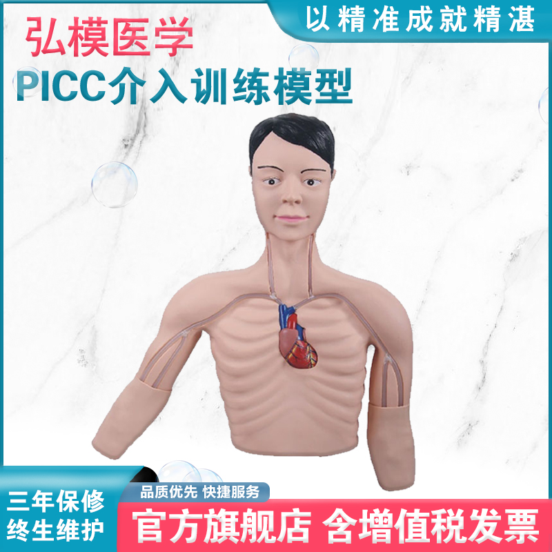 介入训练模型弘模中心静脉穿刺