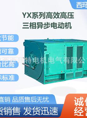 西安电机YX6309-12极1120W10V高压鼠笼型三相异步电动机厂