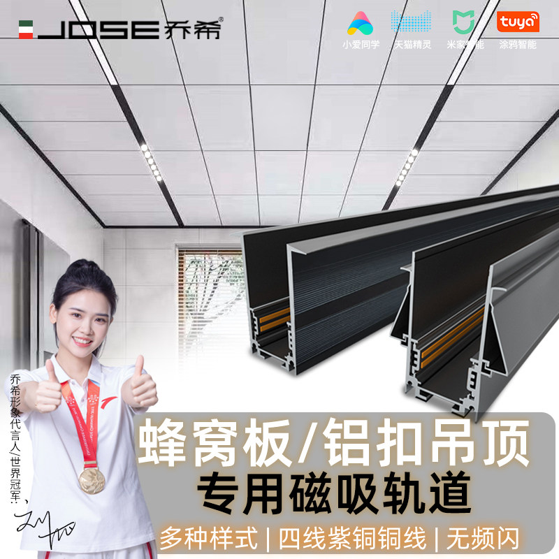 乔希无主灯蜂窝铝扣板磁吸轨道图片
