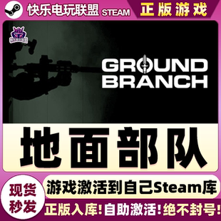 Steam正版地面部队 激活码CDKey入库 GROUND BRANCH全DLC射击游戏