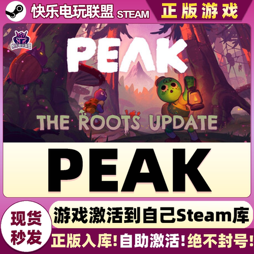 Steam正版PEAK拉我一把激活码CDK